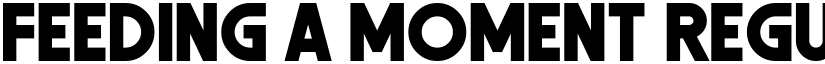 Feeding a Moment Regular font
