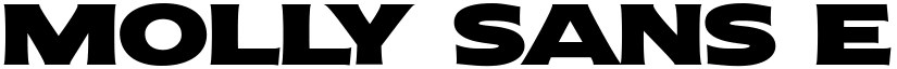 Molly Sans E PERSONAL Black font