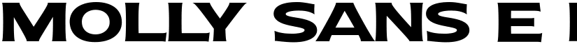 Molly Sans E PERSONAL Bold font