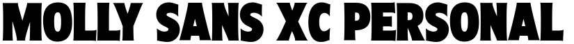 Molly Sans XC PERSONAL Black font
