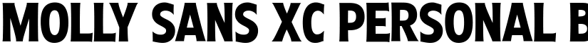 Molly Sans XC PERSONAL Bold font