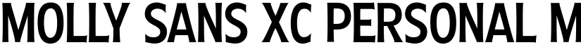 Molly Sans XC PERSONAL Medium font