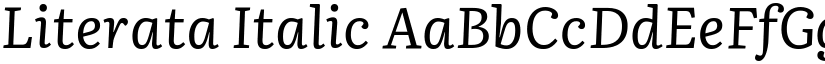 Literata Italic font