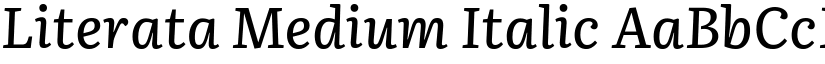 Literata Medium Italic font