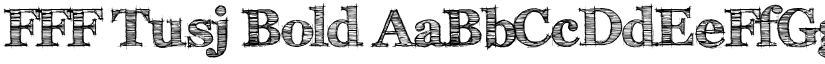 FFF Tusj Bold font