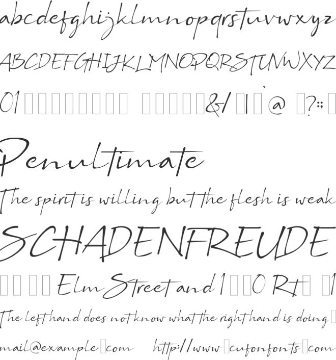 Bs Signature Demo font preview