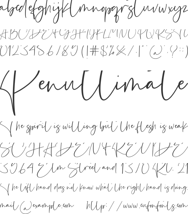 Estefin font preview