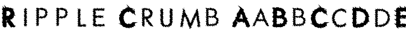 Ripple Crumb font download
