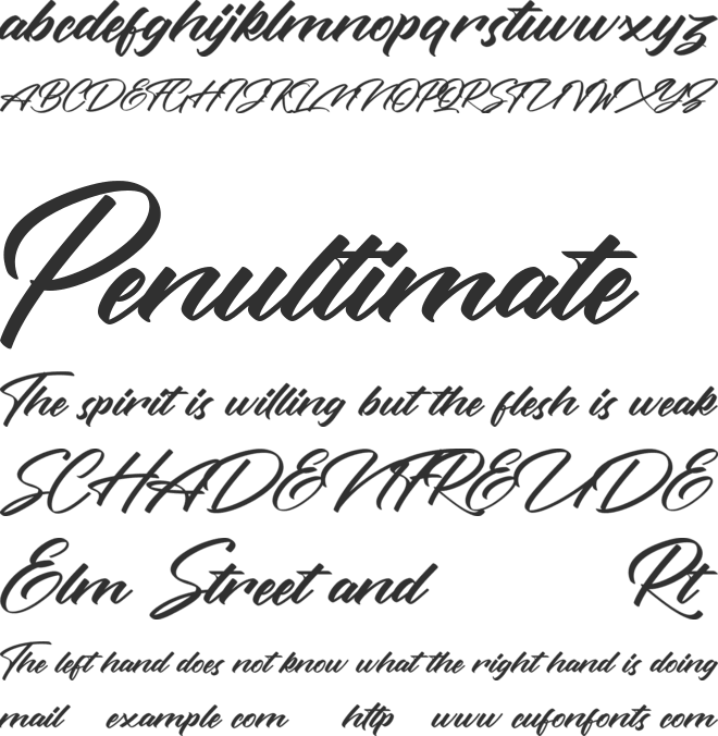 Rotterdalle Personal Use font preview