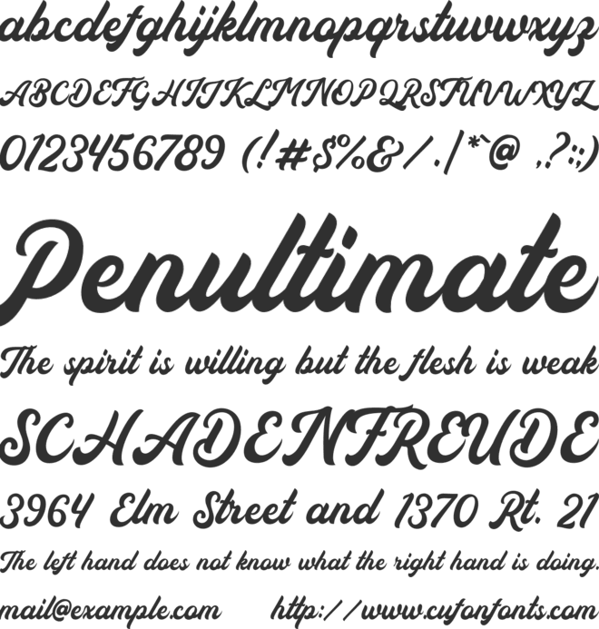 Auckland Script Free font preview