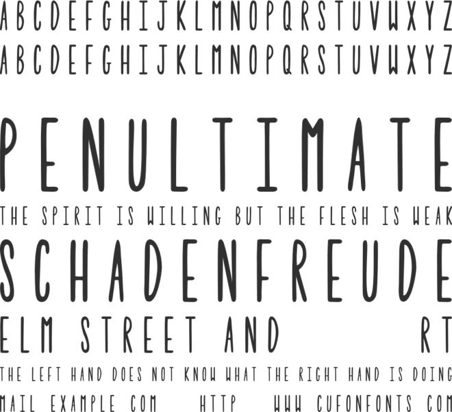 Tulip font preview