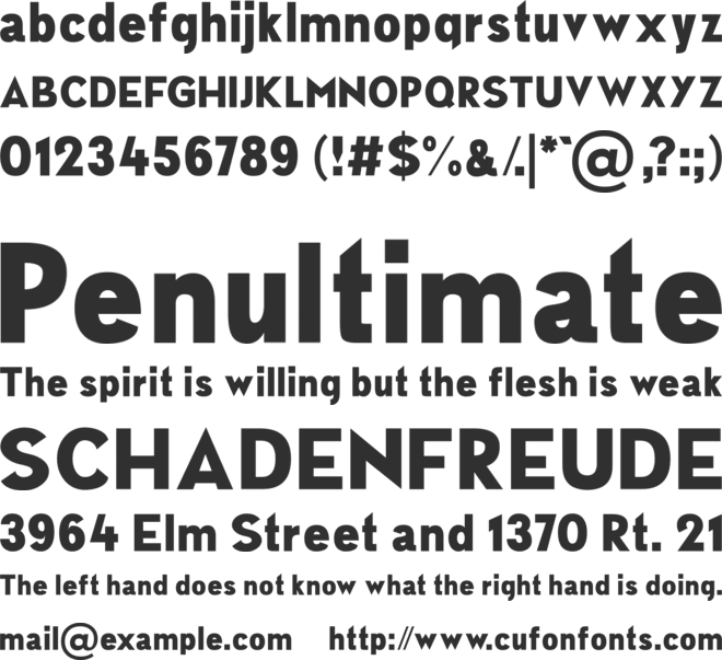 NEWSFLASH font preview