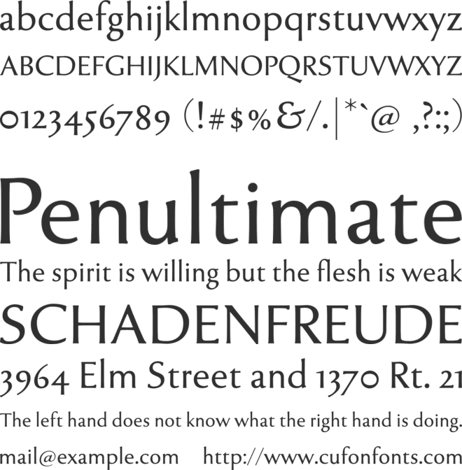 Tenderness font preview