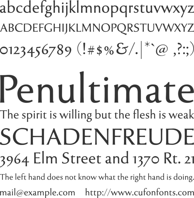 Tenderness font preview