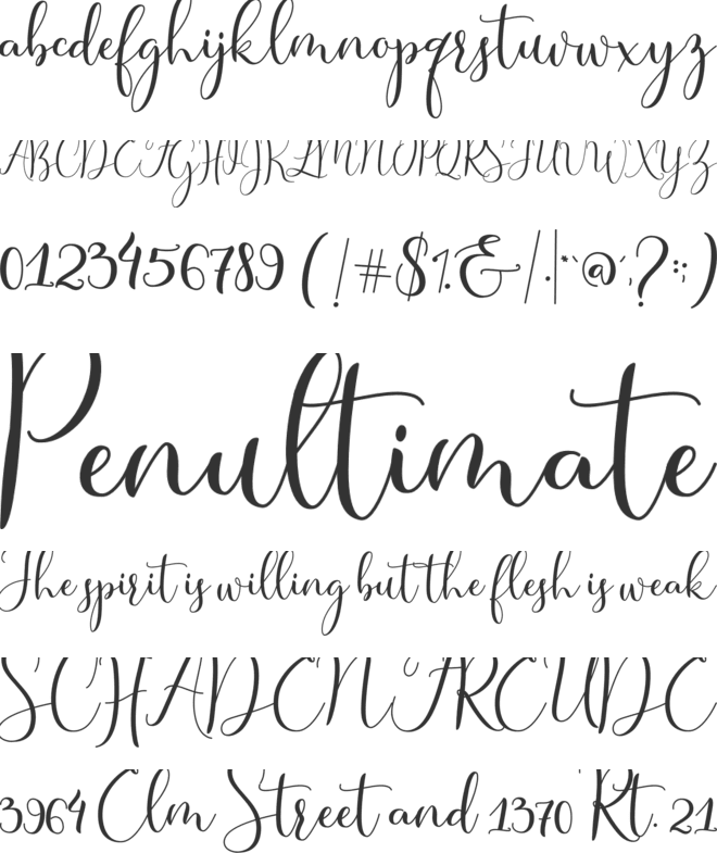 Master Script font preview