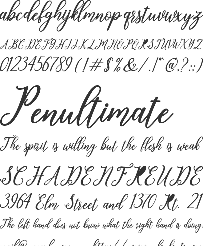 leighton font preview