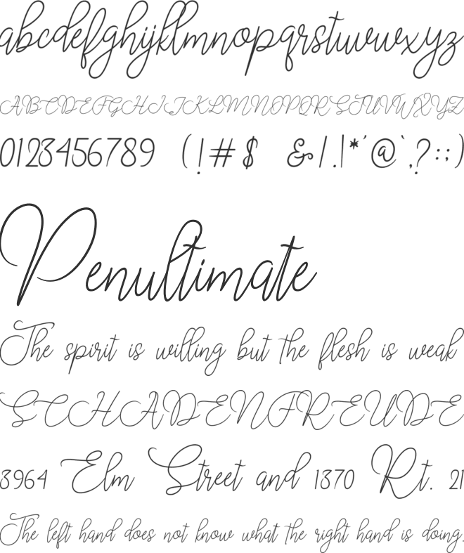 Moon Chin font preview