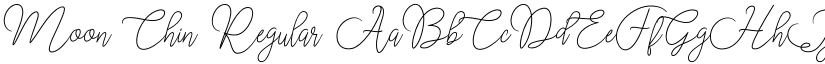 Moon Chin Regular font
