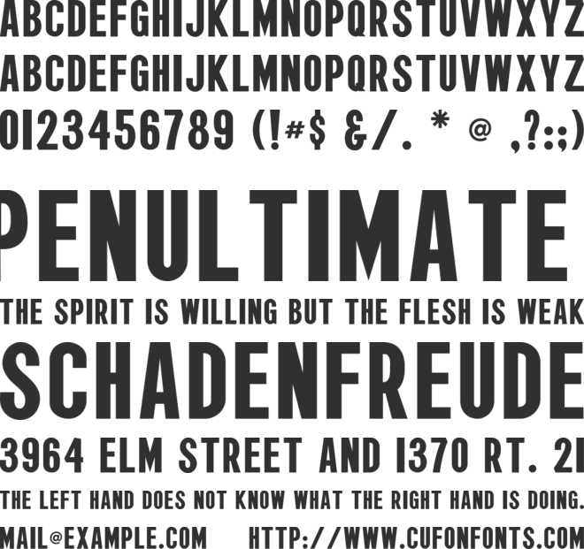 Wagner Zip-Change Condensed font preview