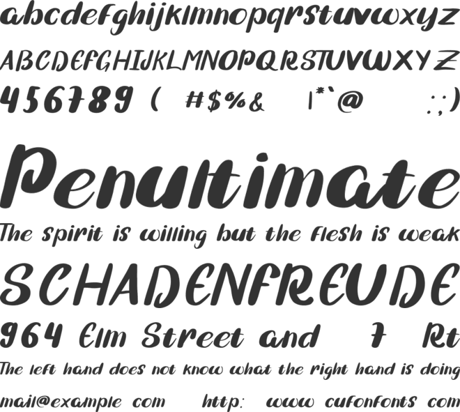 William font preview