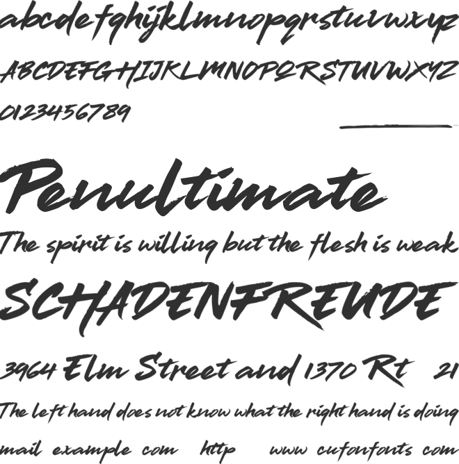 Thander font preview