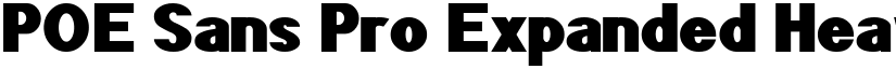 POE Sans Pro Expanded Heavy font