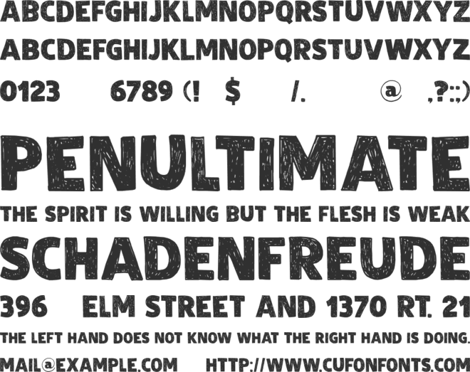 DK Zealand font preview
