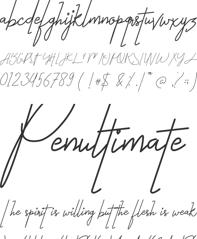 Bestlife font preview