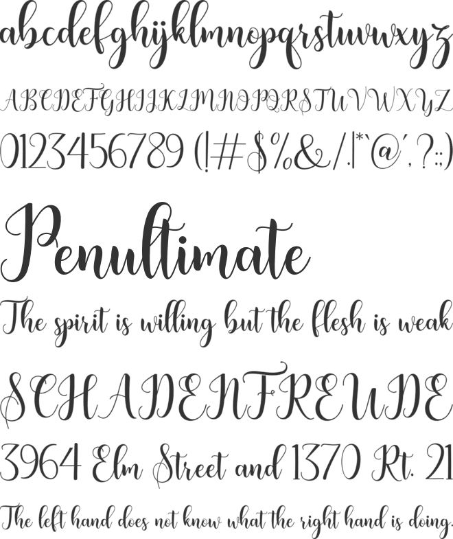 bertilda font preview