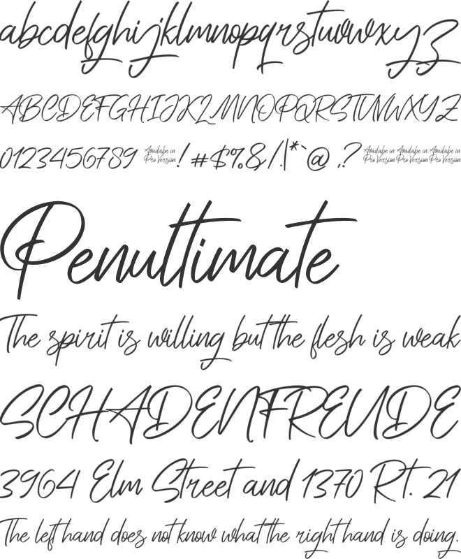 Saitama font preview