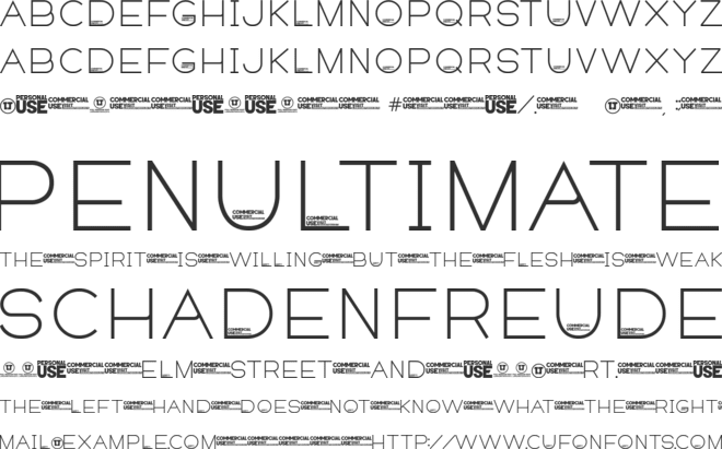 FINA font preview