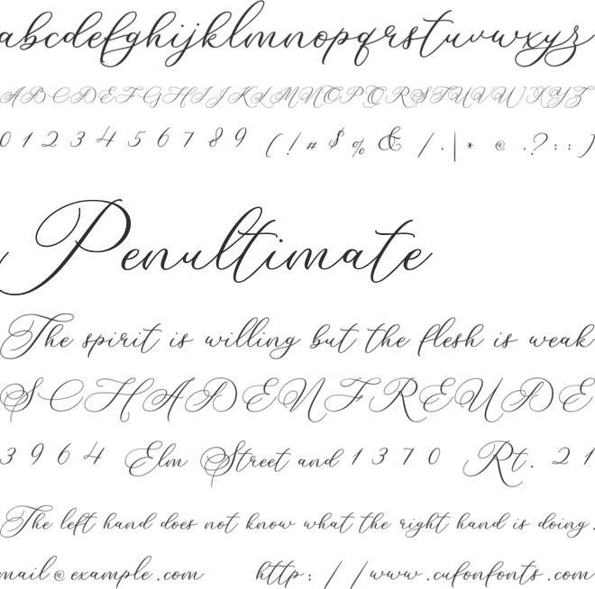 Betty Laudia Script font preview
