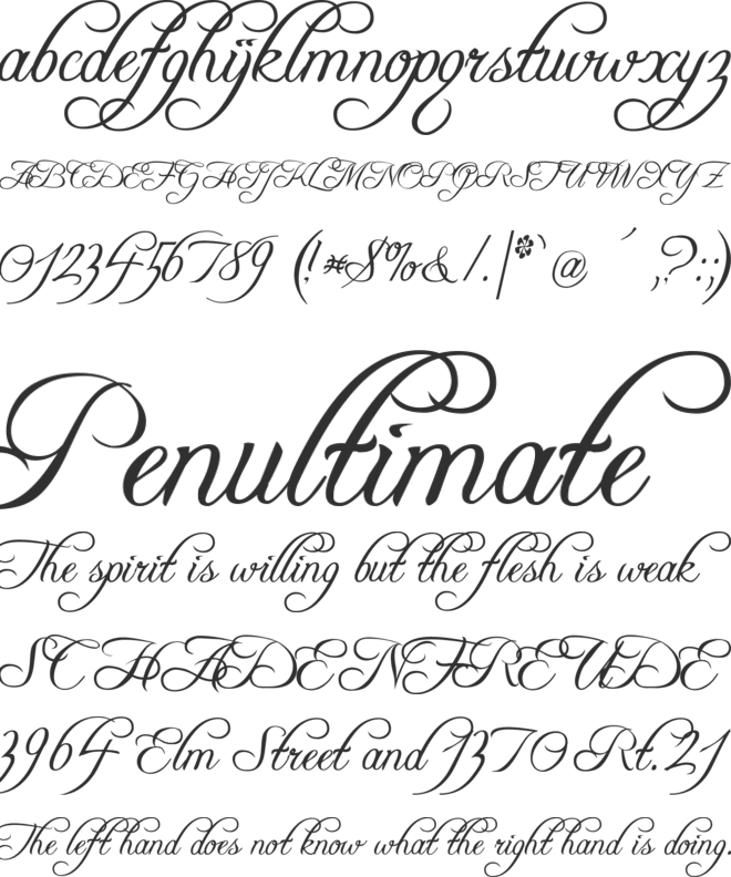 Freebooter Script font preview