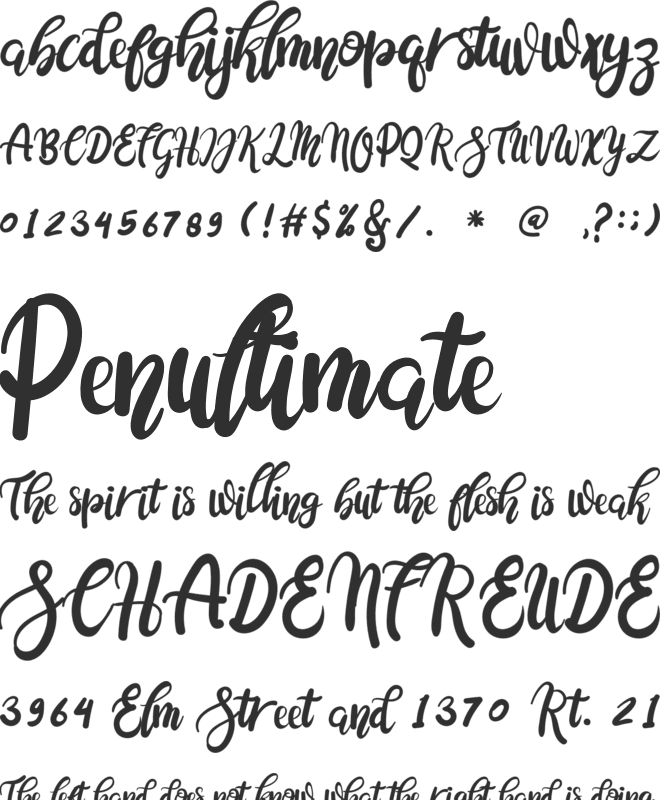 Cocolatte font preview