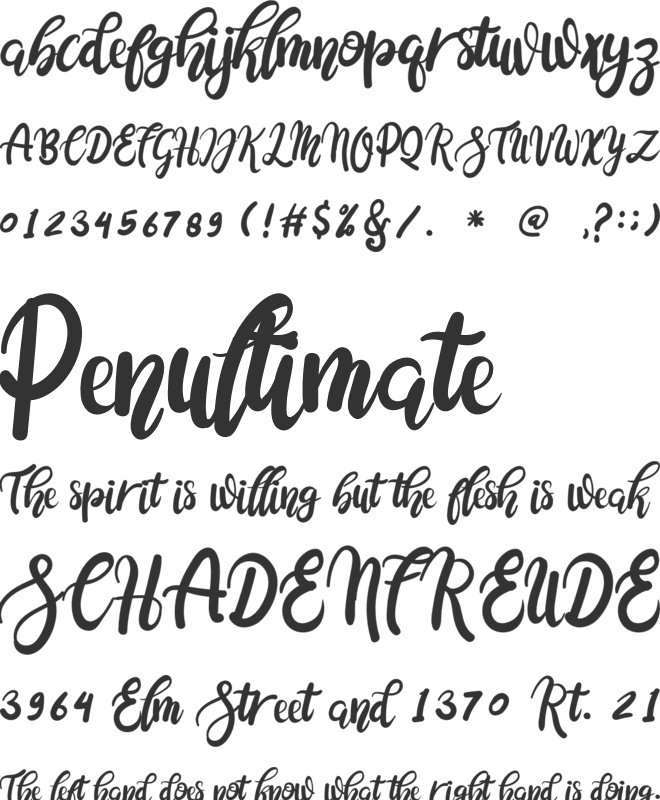 Cocolatte font preview
