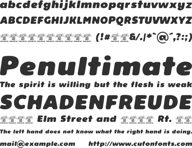 Reeler Personal Use Only font preview