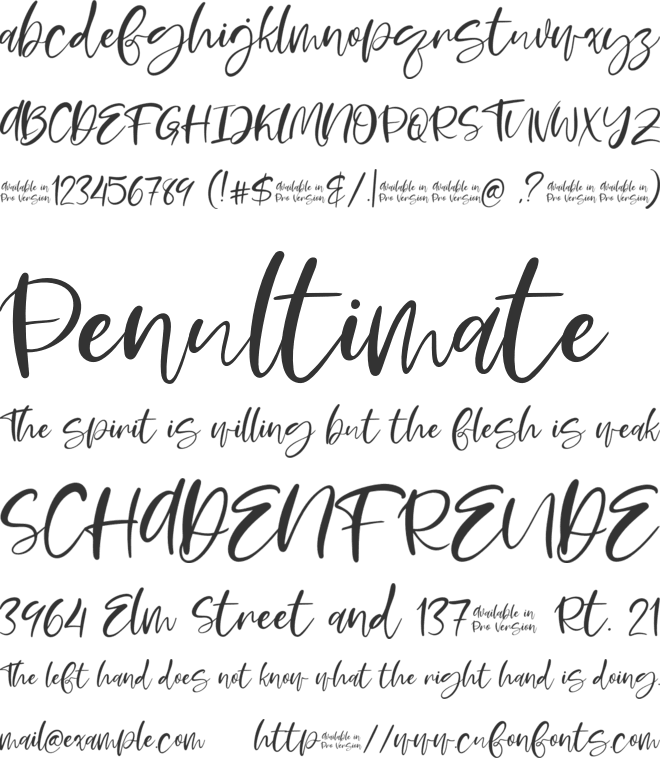 Moskova font preview