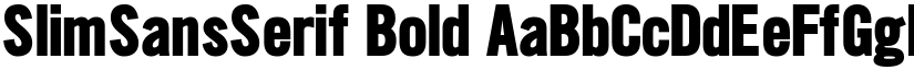 SlimSansSerif Bold font