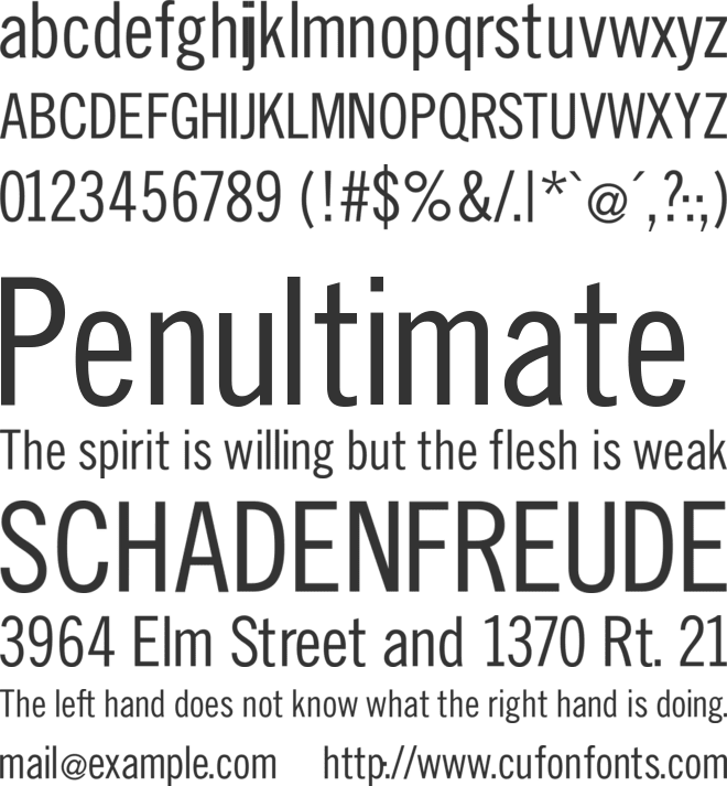 SlimSansSerif font preview