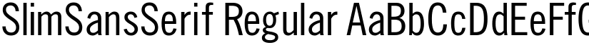 SlimSansSerif Regular font