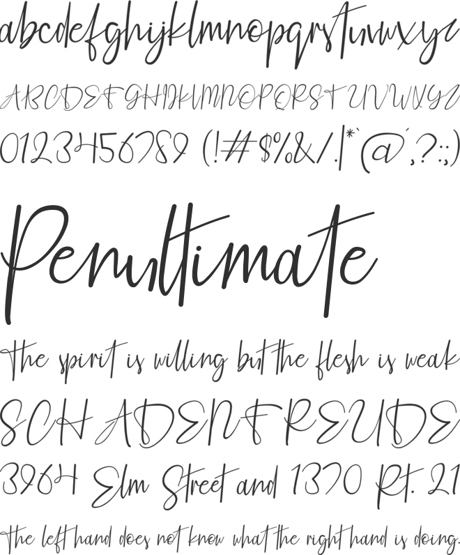Fashion Script Personal Use font preview