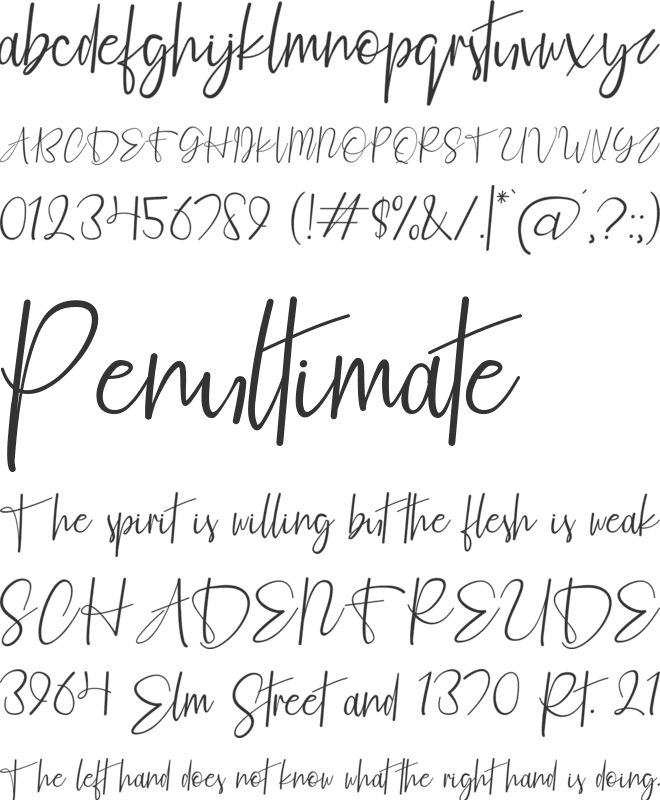 Fashion Script Personal Use font preview