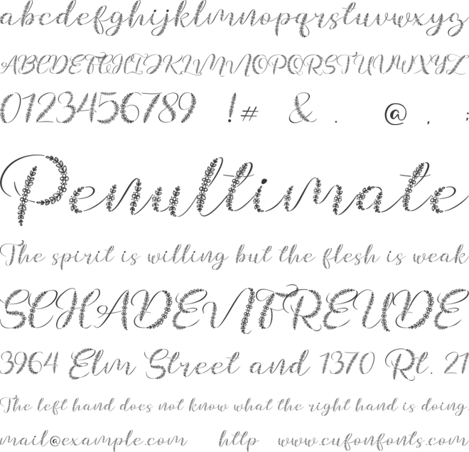 Galea font preview