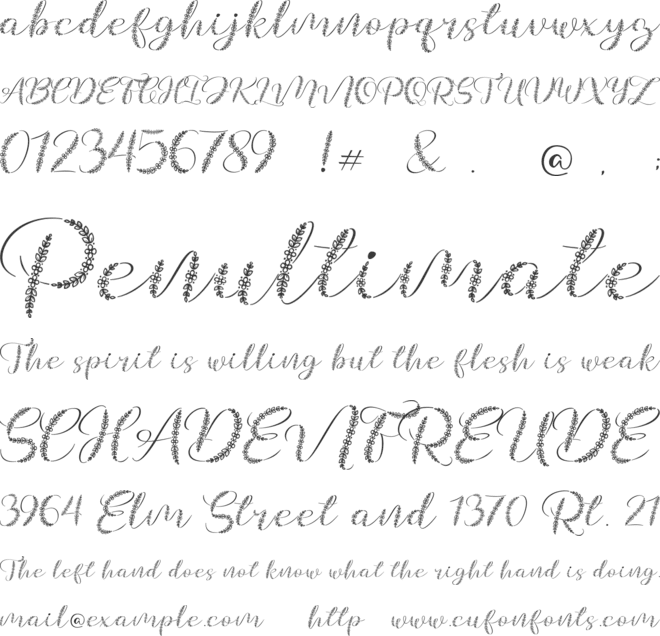 Galea font preview