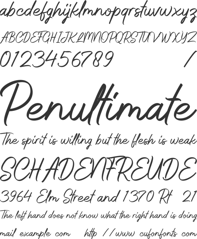 Whitelist font preview