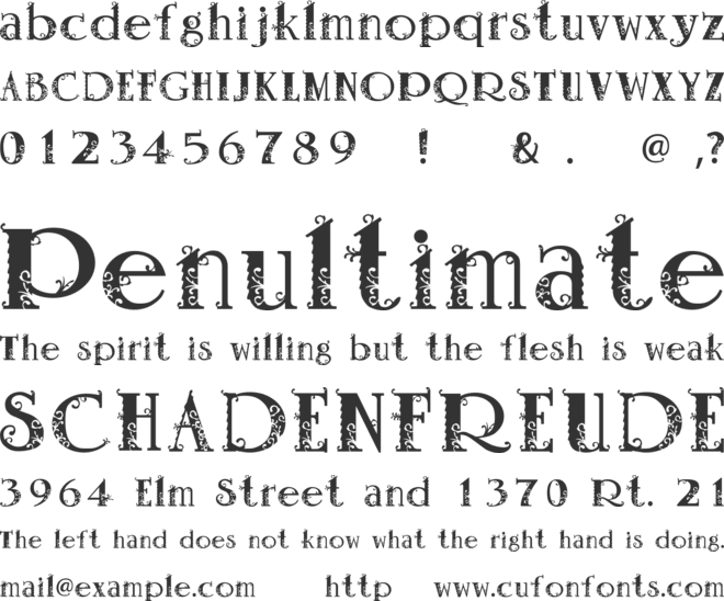 Vanessa font preview