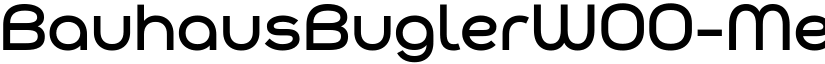 BauhausBuglerW00-Medium Regular font