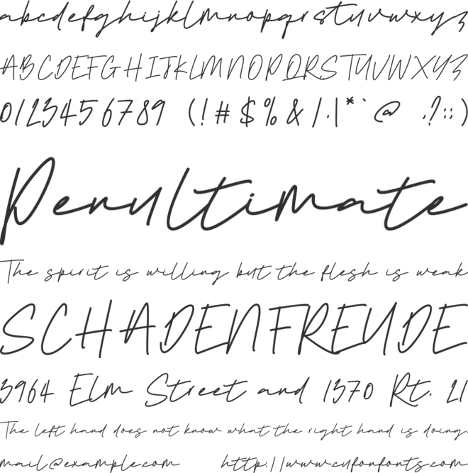 Sebastian Signature font preview