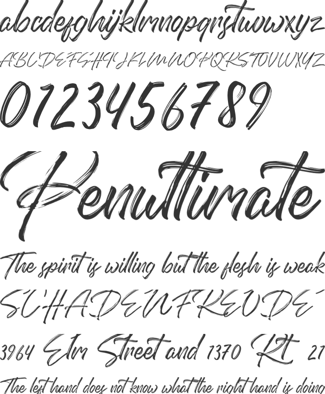 Domillion Brush Free font preview