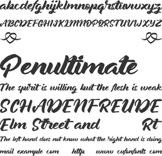 JanethJohn font preview